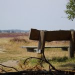Vrijwillig offeren (bij Ex. 35)
